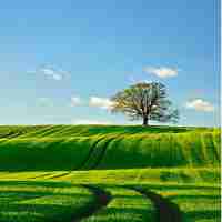 app定‌制﻿排‍名‌